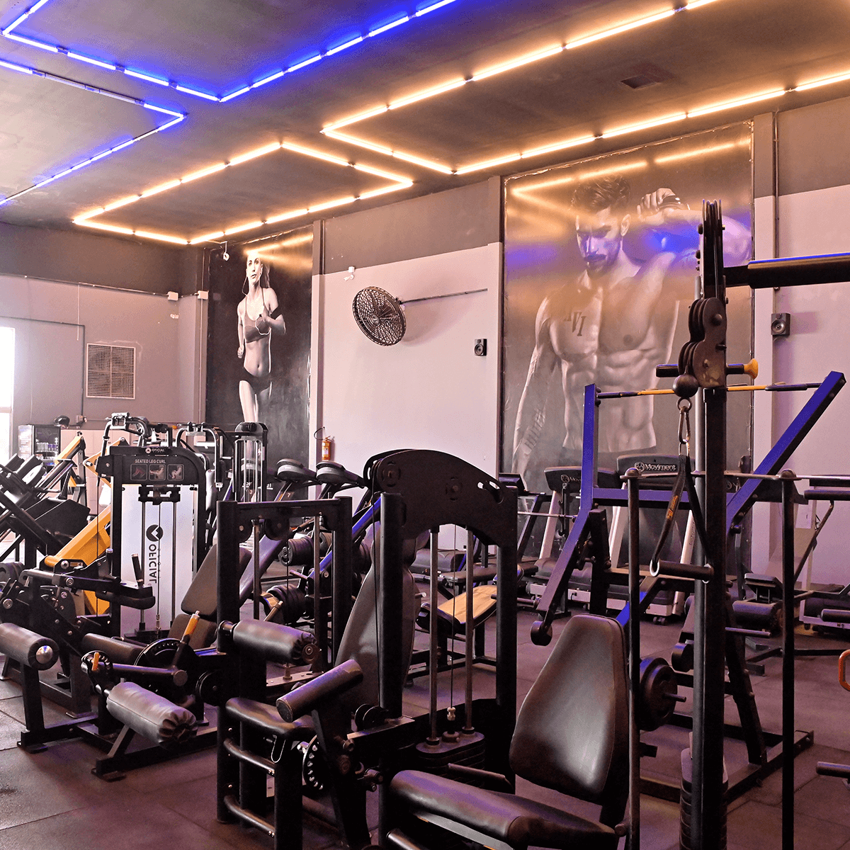 1200x1200---BANDEIRANTES---_0000_DSC_5773