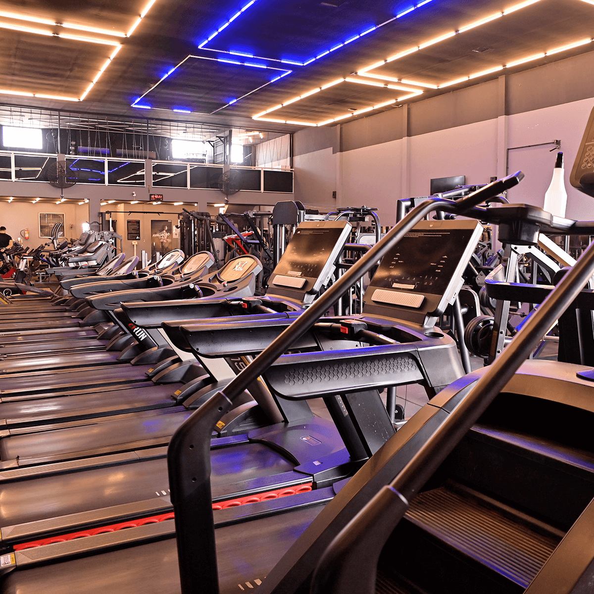 1200x1200---BANDEIRANTES---_0002_DSC_5781