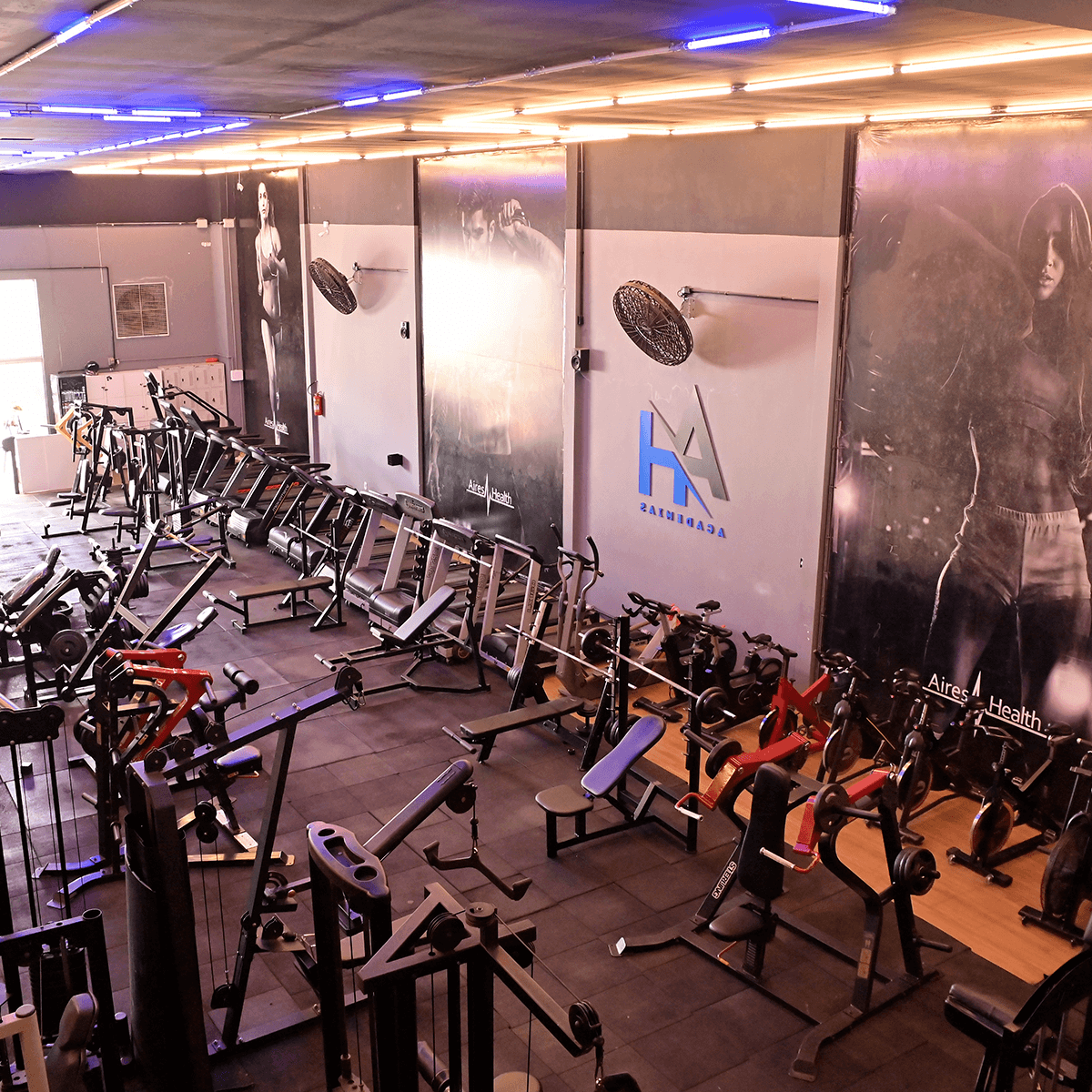 1200x1200---BANDEIRANTES---_0005_DSC_5792