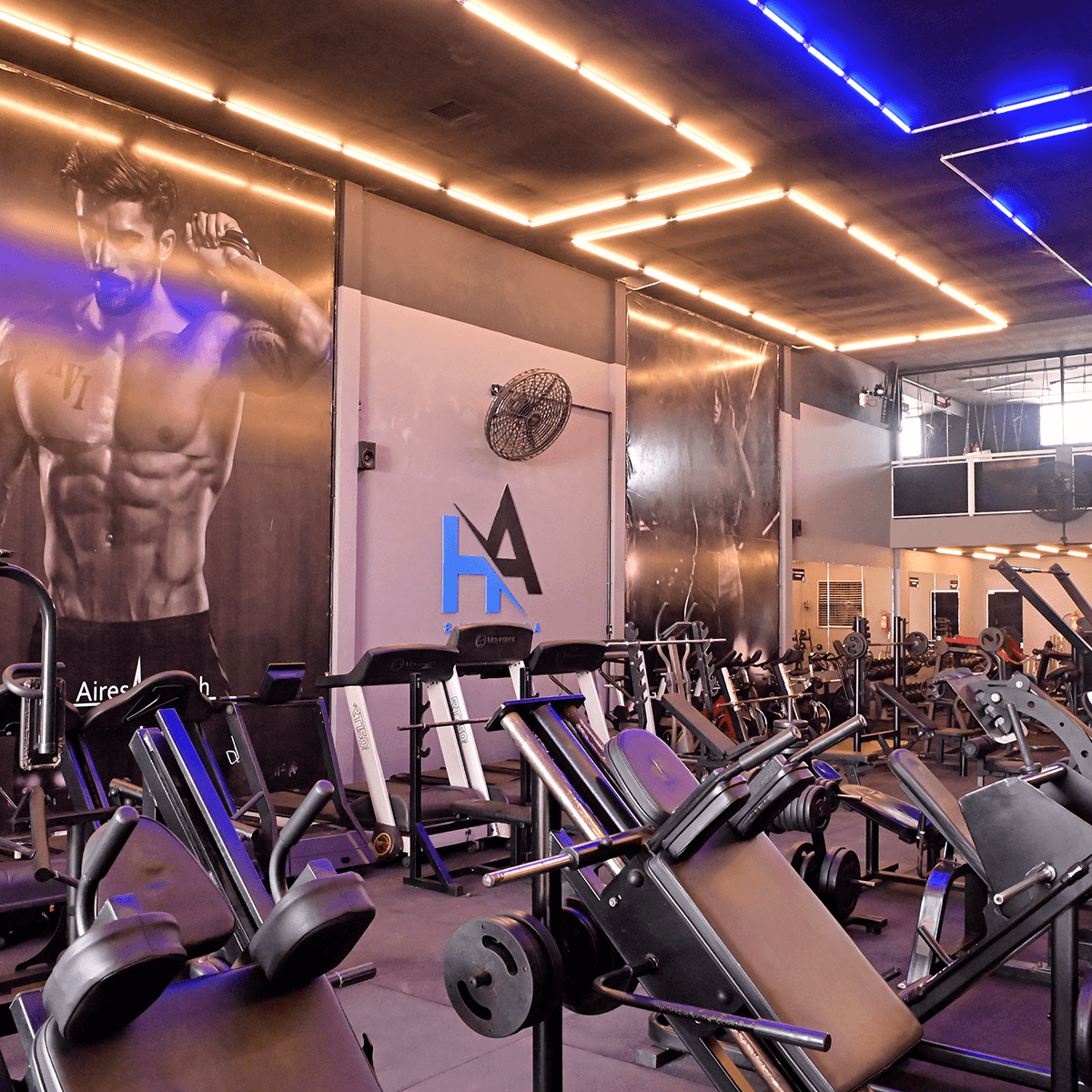 1200x1200---BANDEIRANTES---_0007_DSC_5771