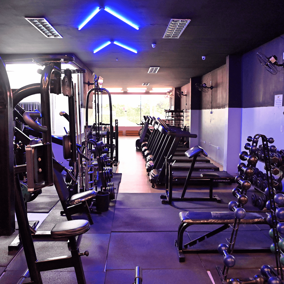 1200x1200---Barreirinhas---_0000s_0003_DSC_5683