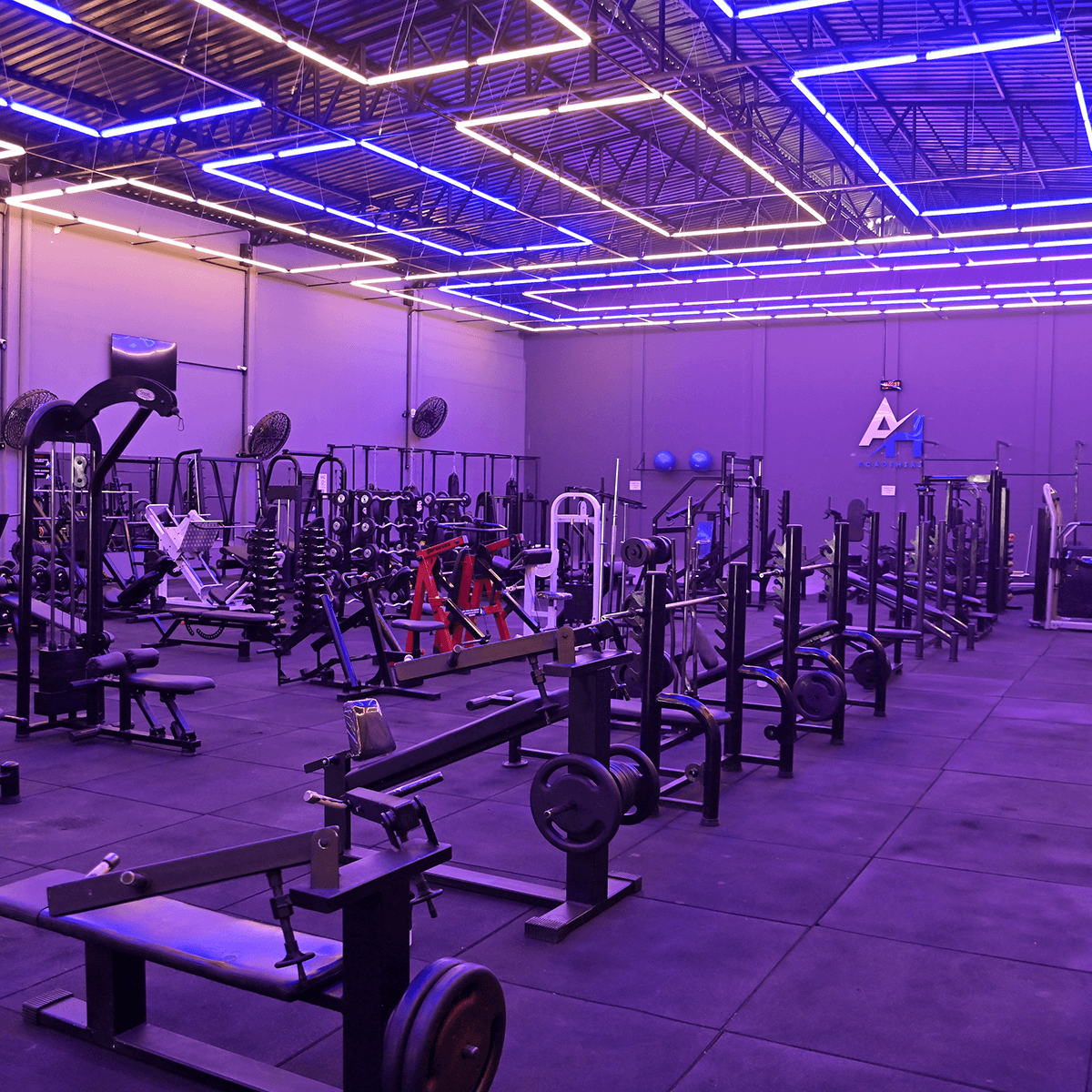 1200x1200---CENTRO-3---_0006_DSC_5604