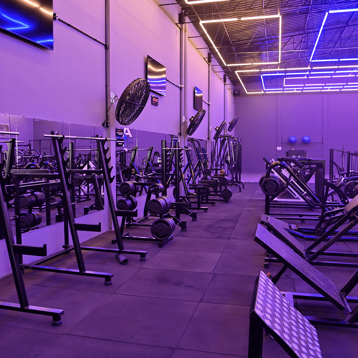 1200x1200---CENTRO-3---_0007_DSC_5606