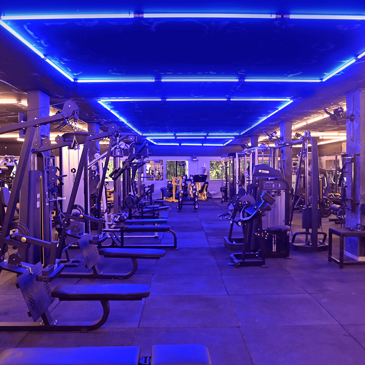 1200x1200---CENTRO---_0000_DSC_5847