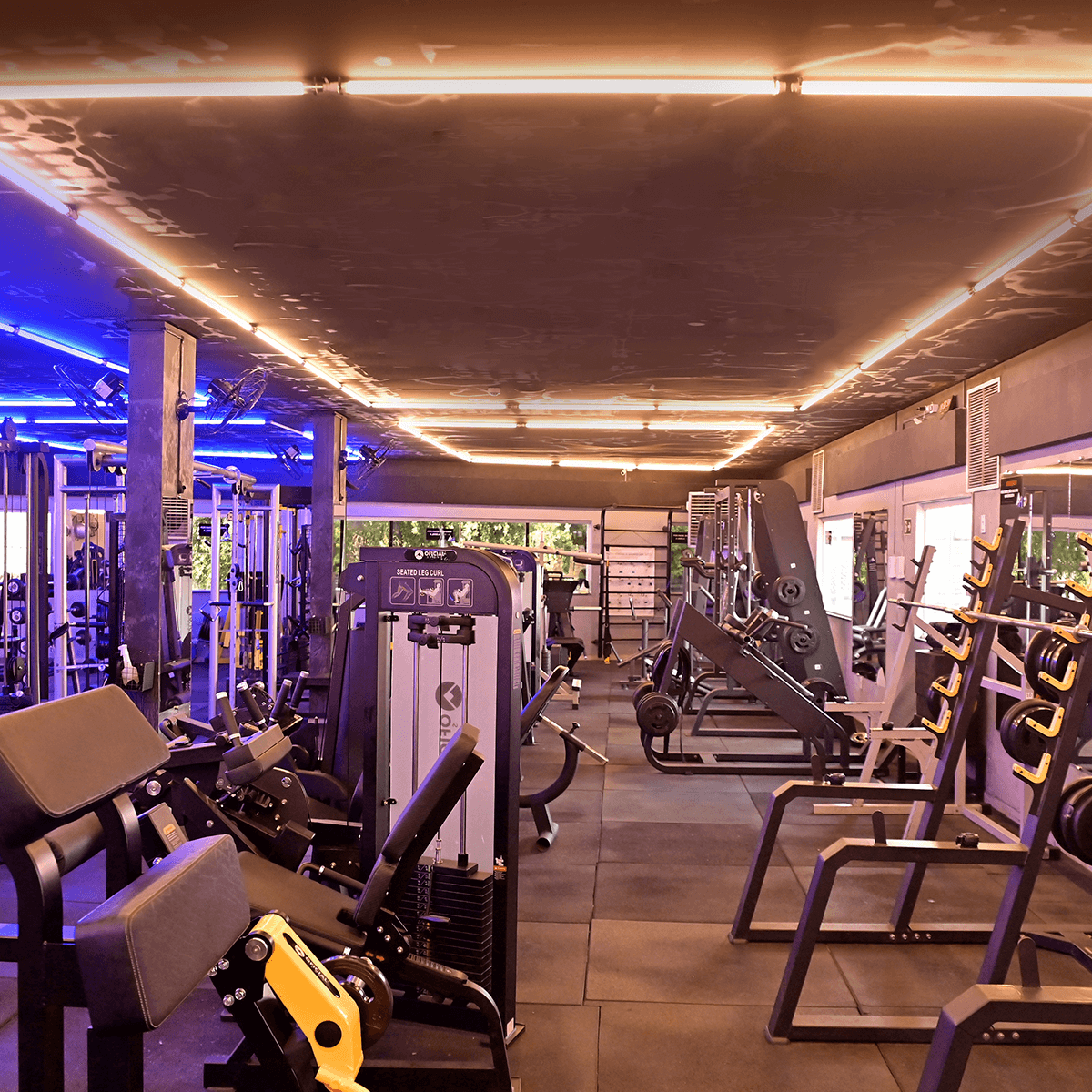 1200x1200---CENTRO---_0001_DSC_5848