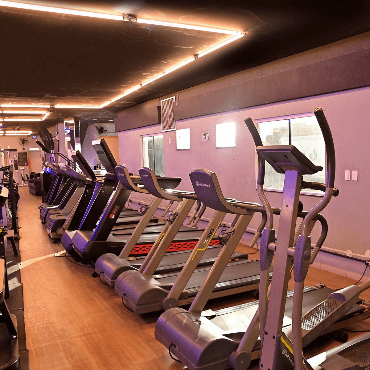 1200x1200---CENTRO---_0003_DSC_5839