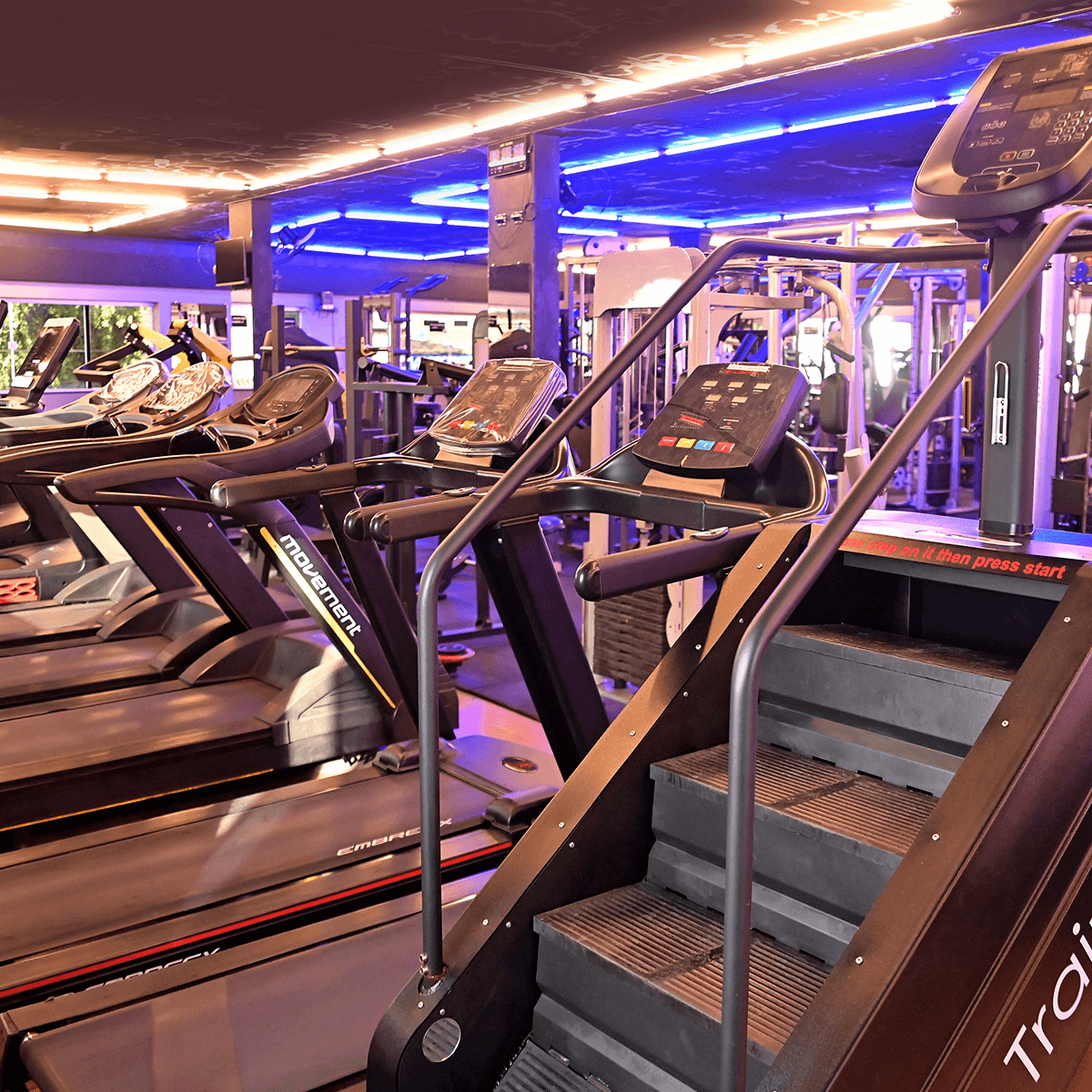 1200x1200---CENTRO---_0004_DSC_5841