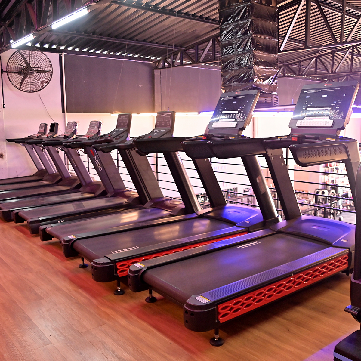 1200x1200---Jd-VITORIA---_0000_DSC_5798