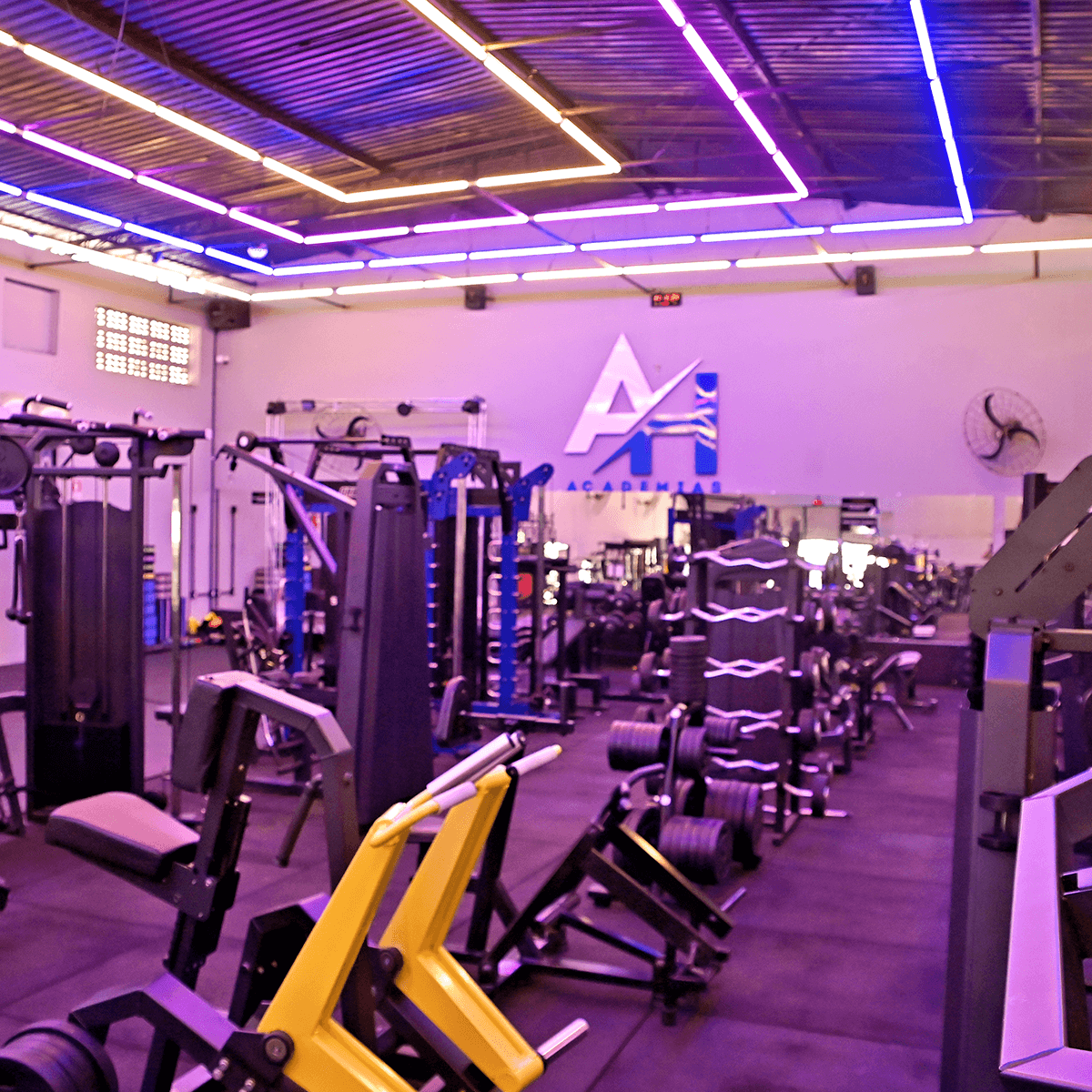 1200x1200---MORADA-DA-LUA---_0004_IMG_9258