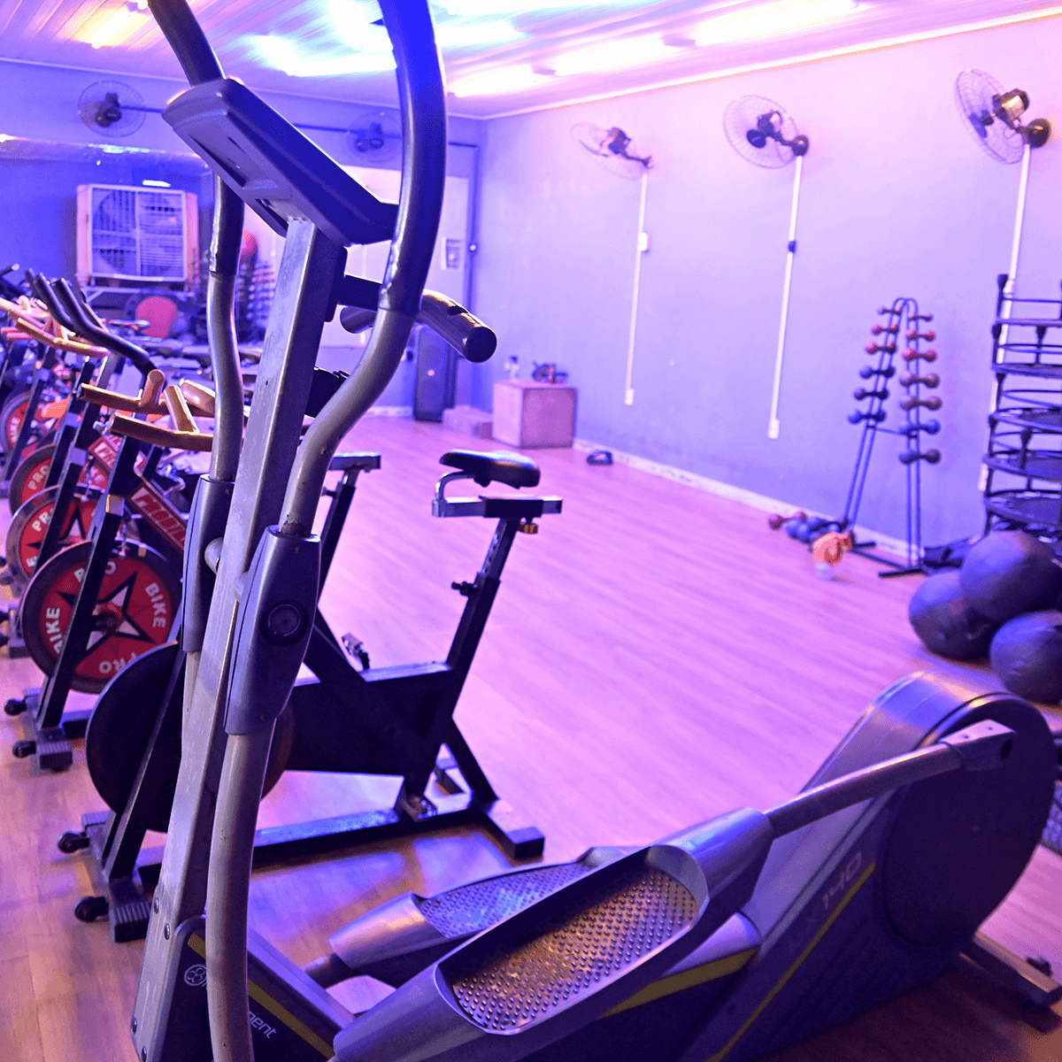 1200x1200---OURO-BRANCO---_0000_DSC_5758 (1)